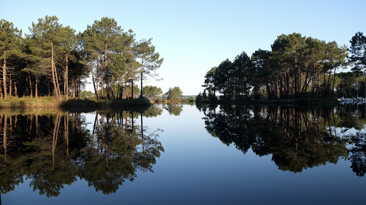 LES PIEDS DANS L'EAU : DSCF5902 copie