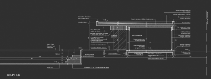 Maison contemporaine sur le bassin : Coupe